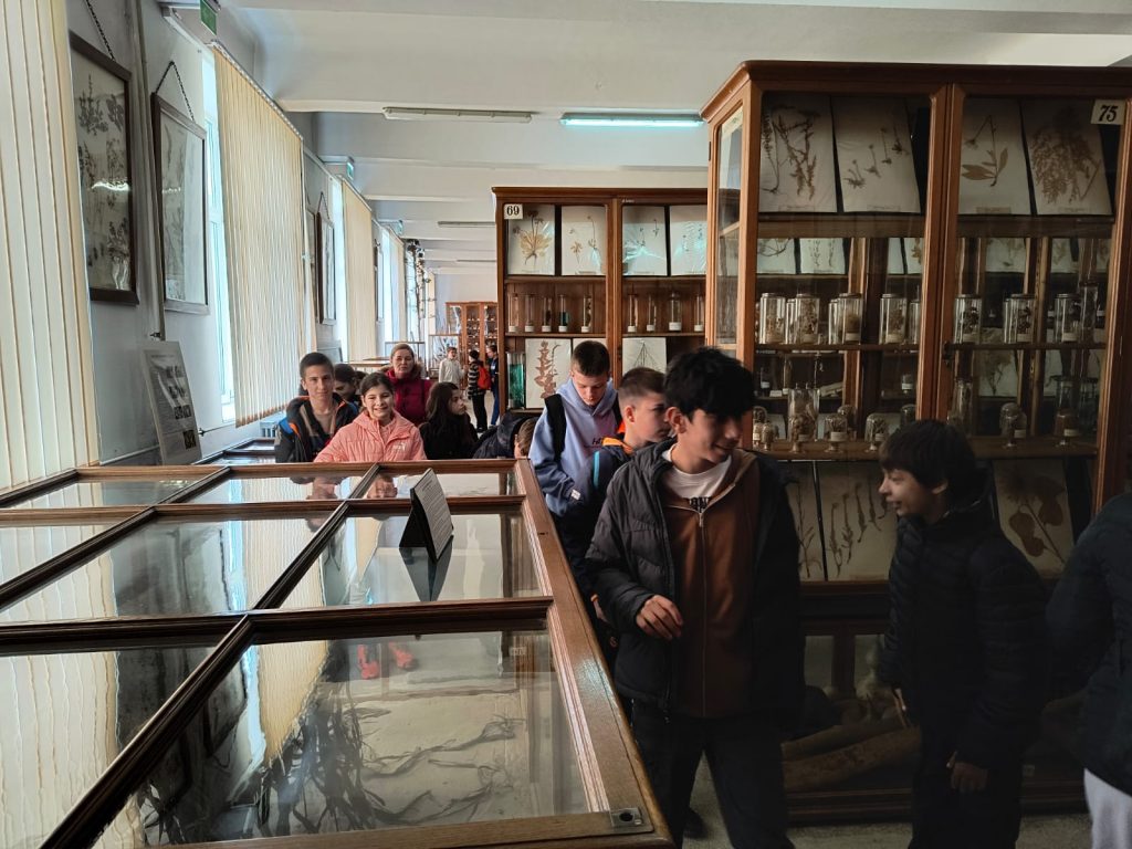 3aef4750-3234-4066-a267-bb5131e510de