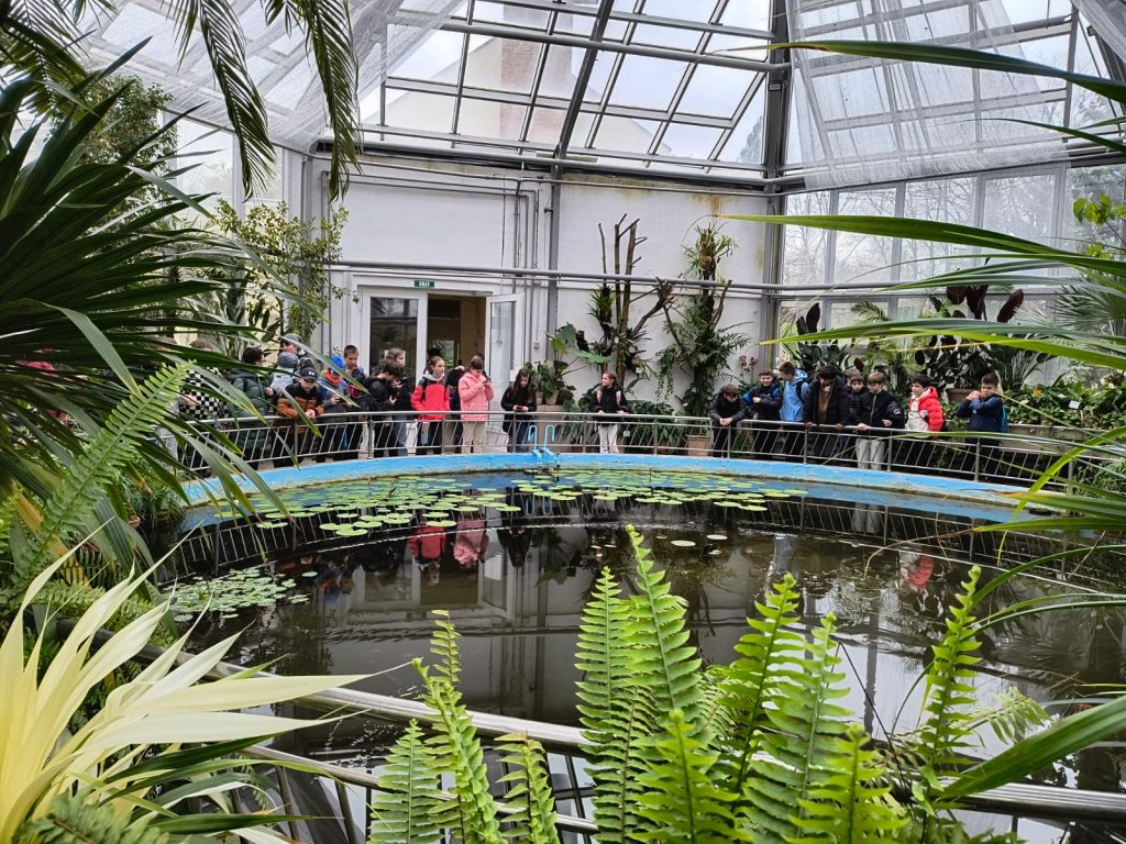 4b4bbd4b-672b-4111-93dc-7250a99c488a