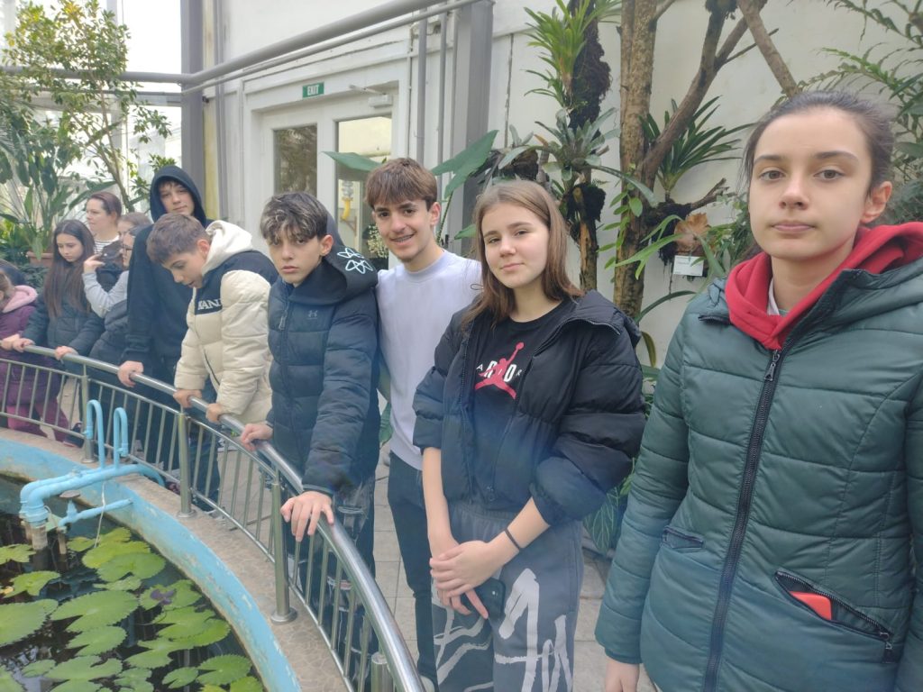 b667cf66-ef7f-42e9-b186-14e841d86852